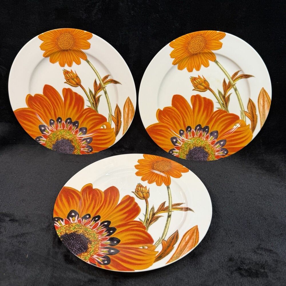 Crate & Barrel Passion Flower Plates Set of 3 Orange Floral 8” Salad Dessert